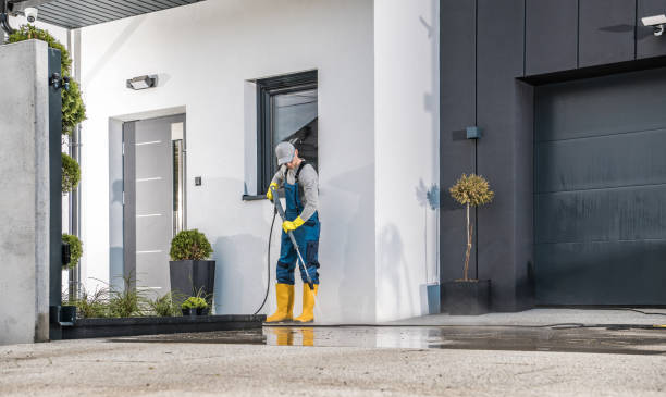Best Building Exterior Pressure Washing in Truman, MN